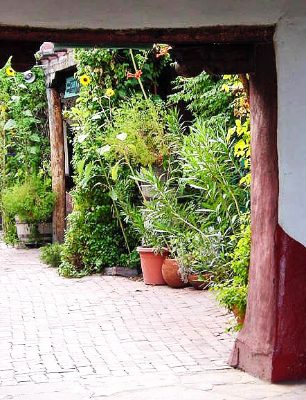 ﾊﾟﾃｨｵより17時20