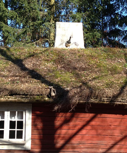 o0418050412573919456