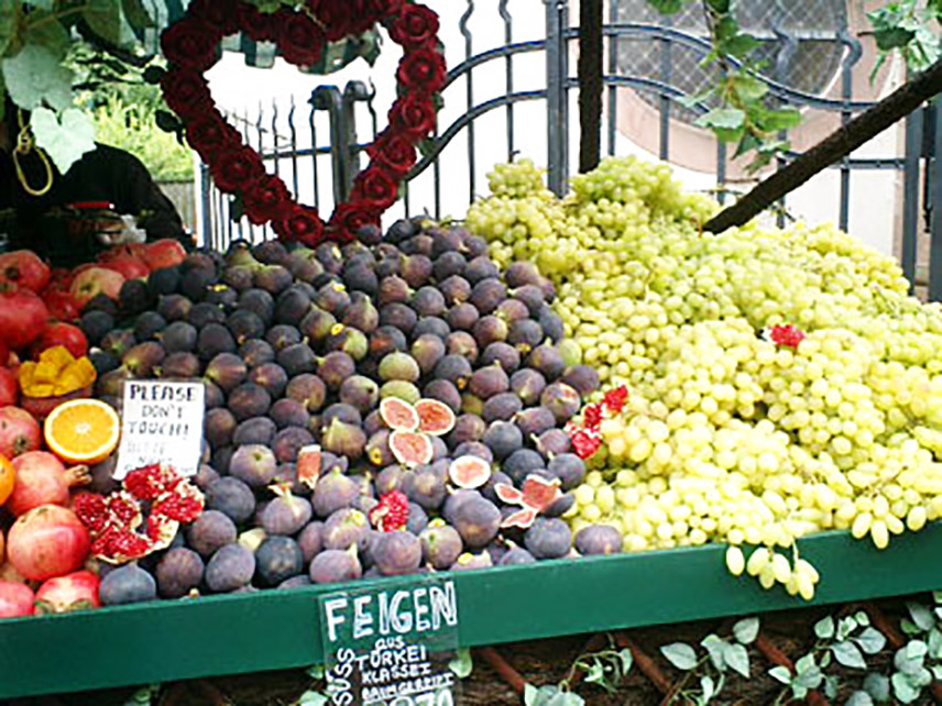 o0411030810838740317