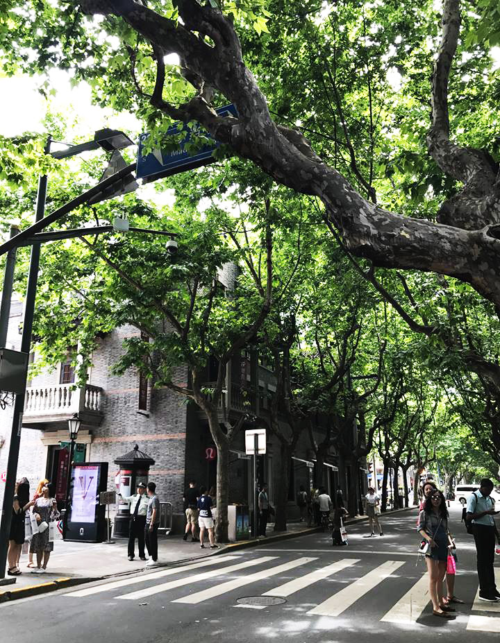 27496237_10208685739300183_926328884_n